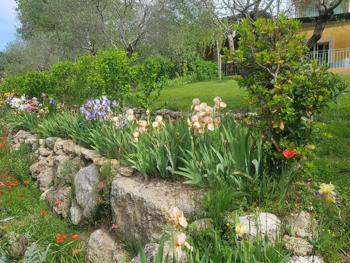 ساليرنيس Maison Mimosa 0*,  فرنسا