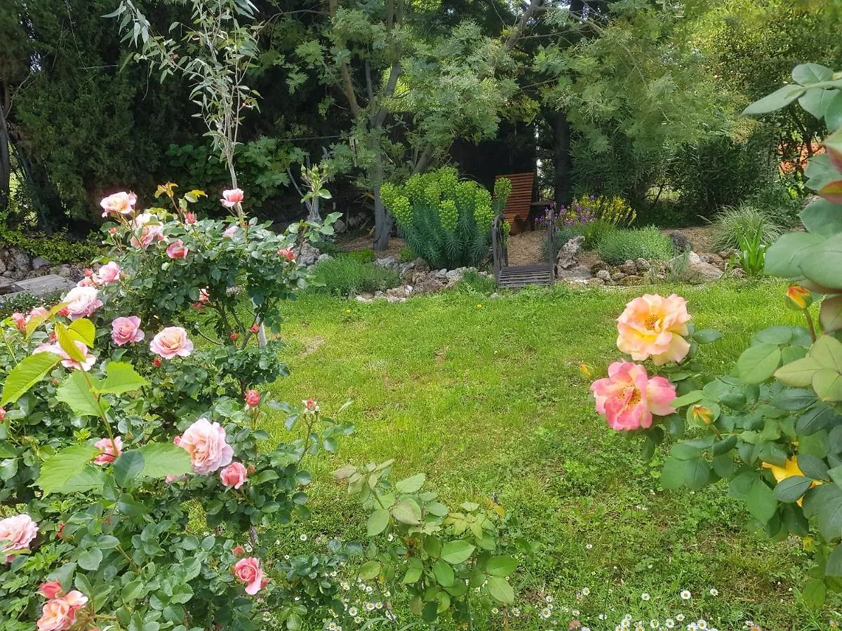 ساليرنيس Maison Mimosa 0*,